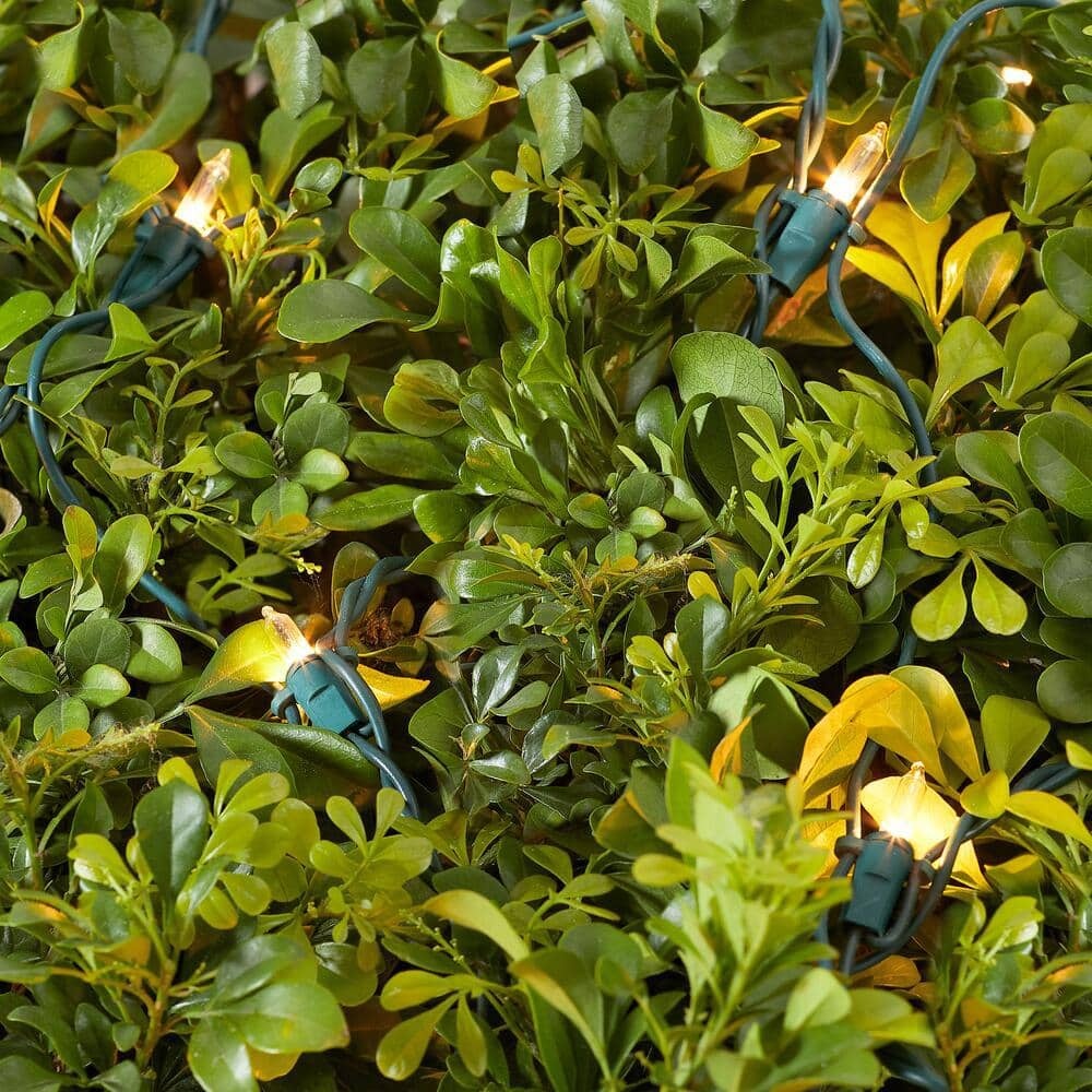 150 Clear Incandescent Mini Net Lights