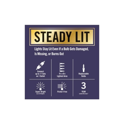 300 Count Warm White Steady Lit Super Bright Mini LED Lights