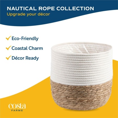 Norfolk Island Pine Indoor Holiday Plant in 10 in. 2-Tone Decor Pot, Avg. Shipping Height 3 ft. Tall