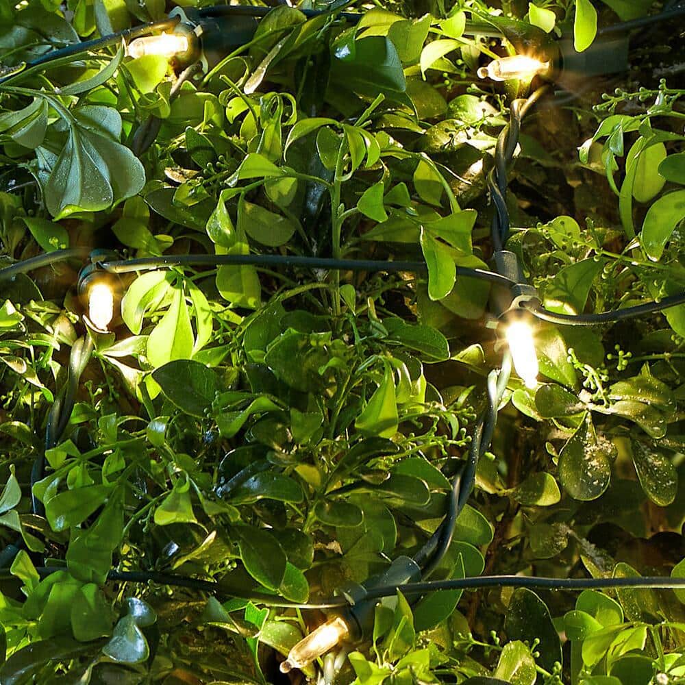 150 Count Warm White Steady Lit Mini LED Net Lights