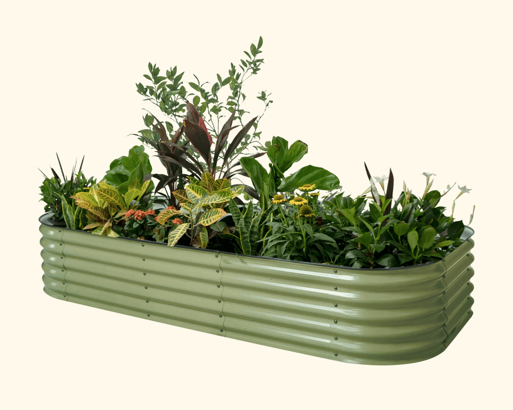 Features That Grow with You