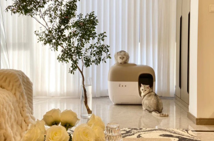 💝 Last Day For Clearance 🐱APP intelligent automatic shovel cat basin