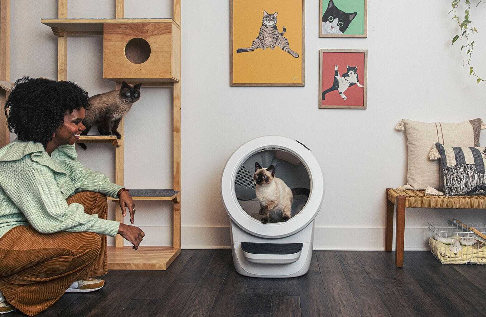 💝 Last Day For Clearance 🐱Wifi automatic intelligent cat litter box