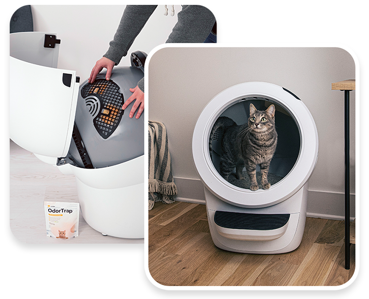 💝 Last Day For Clearance 🐱Wifi automatic intelligent cat litter box
