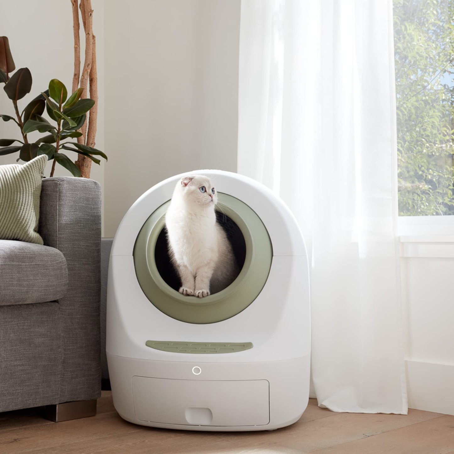 Intelligent WIFI automatic self-cleaning cat litter box