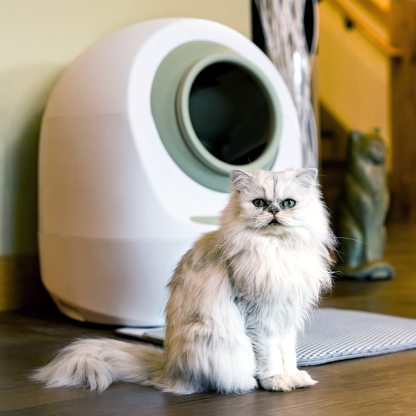 Intelligent WIFI automatic self-cleaning cat litter box