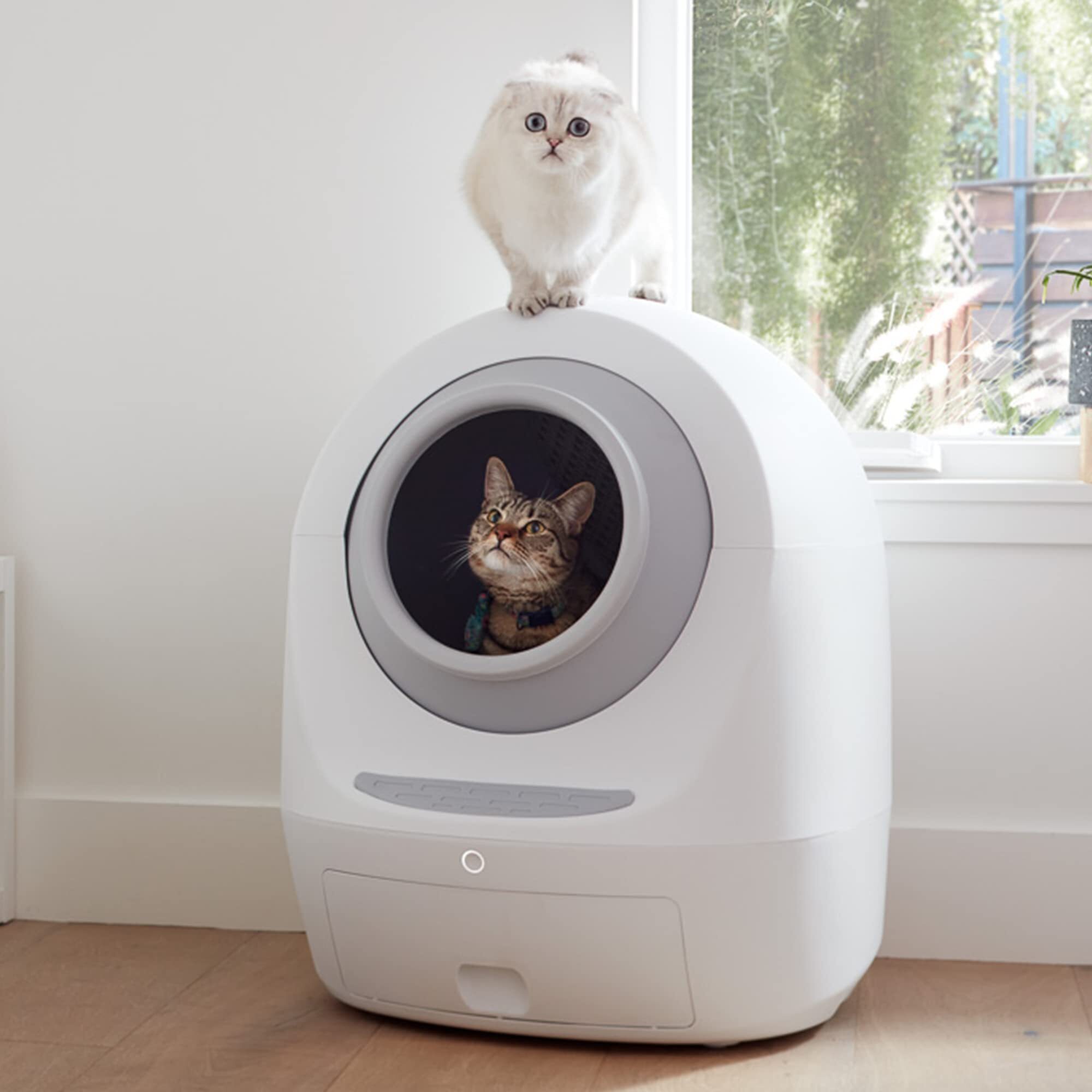 Intelligent WIFI automatic self-cleaning cat litter box
