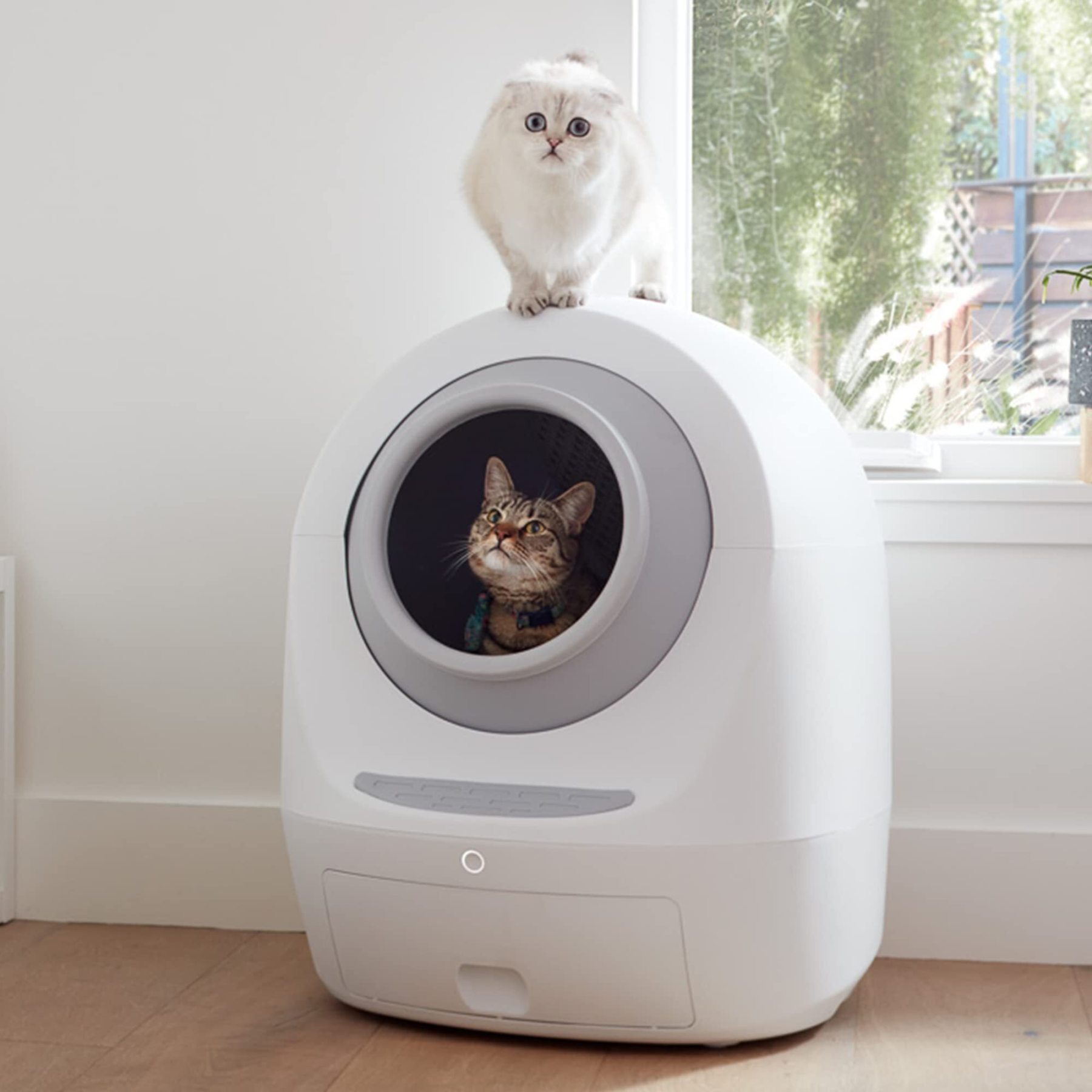 Intelligent WIFI automatic self-cleaning cat litter box