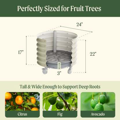 Self-Watering Rolling Citrus Tree Planter - 30 Gallon