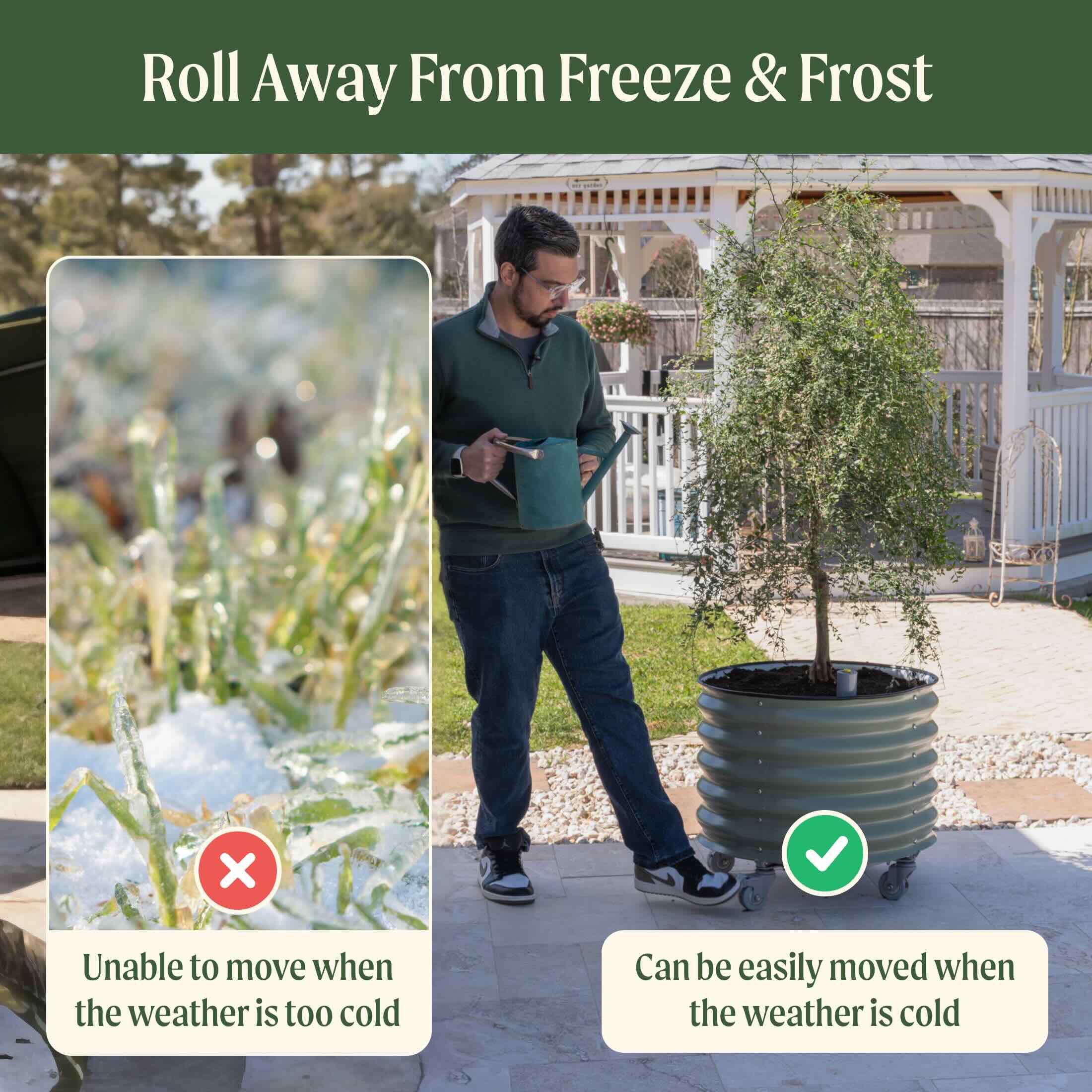 Self-Watering Rolling Citrus Tree Planter - 30 Gallon