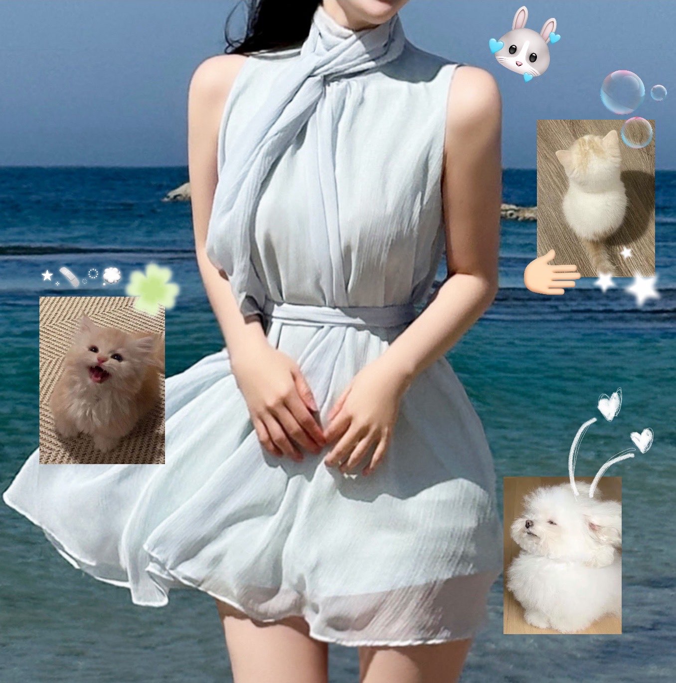 [Preorder 1st Drop Price] C1404 Celeste Flutter Blouse