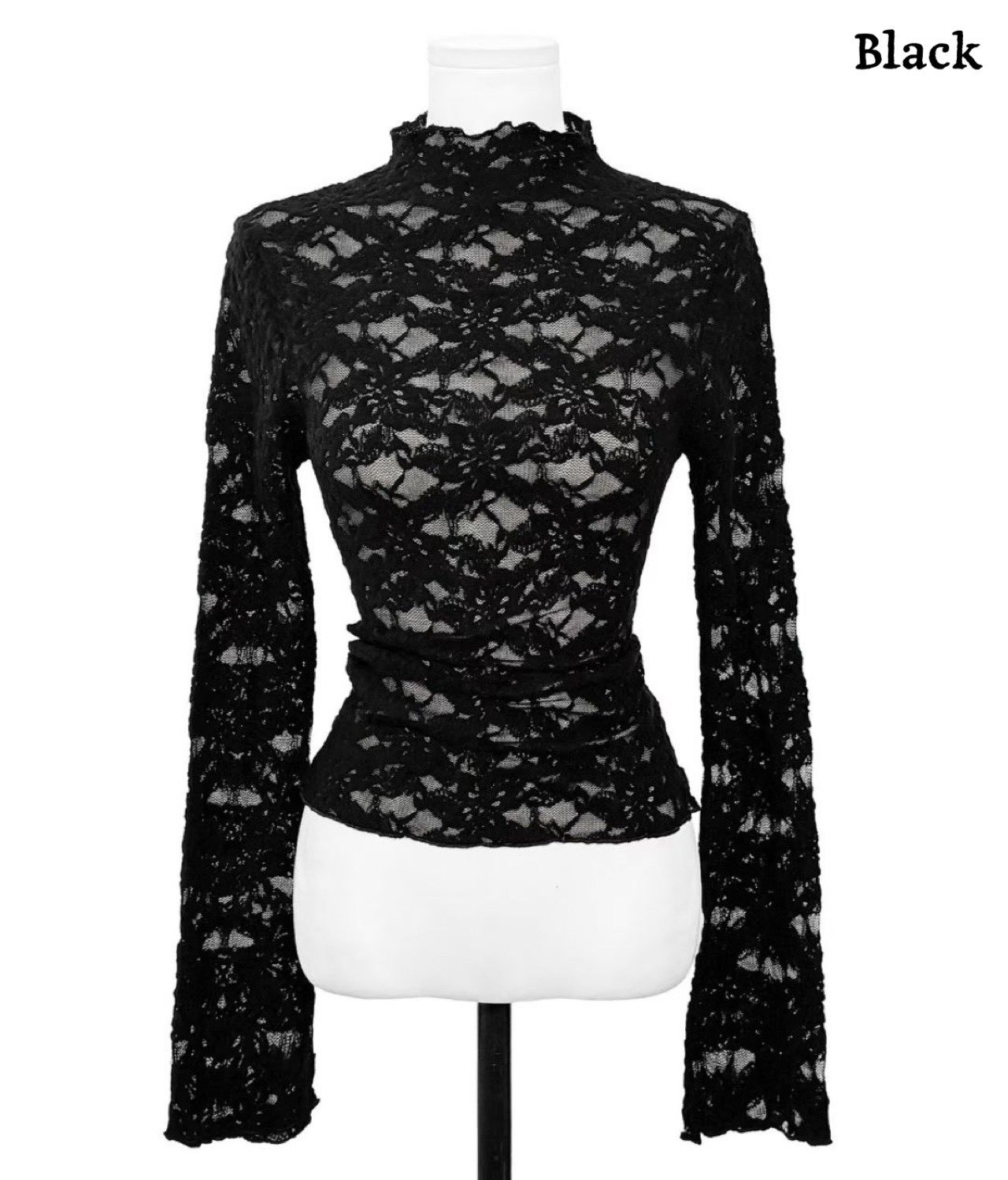 [Preorder 1st Drop Price] C2104 Floral Sheered Top