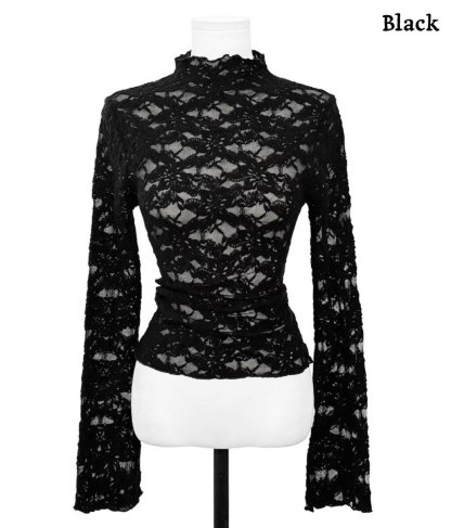 [Preorder 1st Drop Price] C2104 Floral Sheered Top