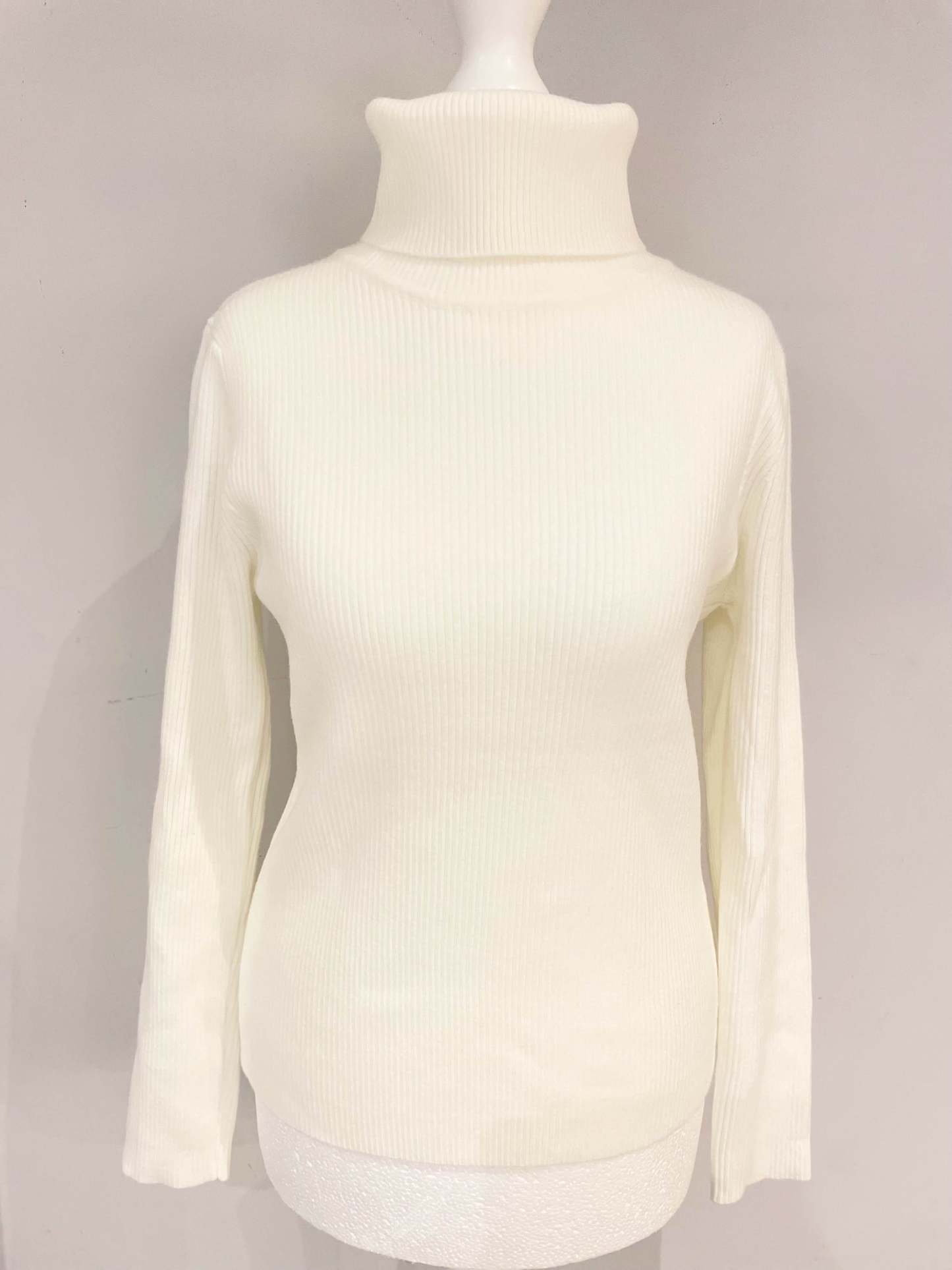 C4101 Basic Turtleneck Top