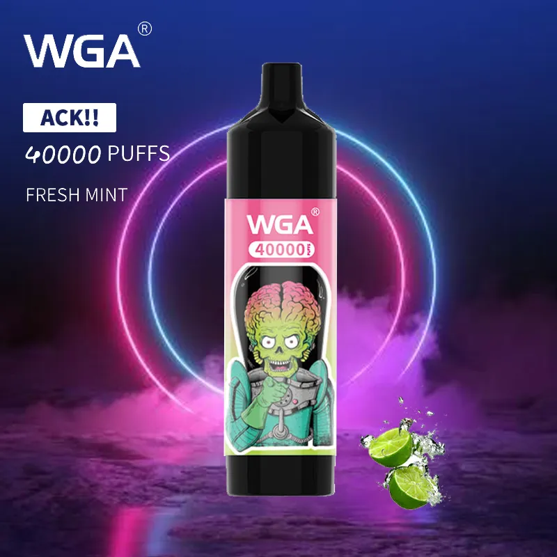 WGA random style flavor disposable vape