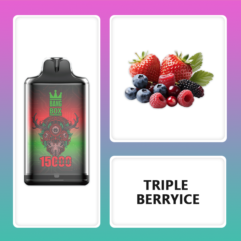 BANG BOX S1-15000 Puffs Disposable Vape