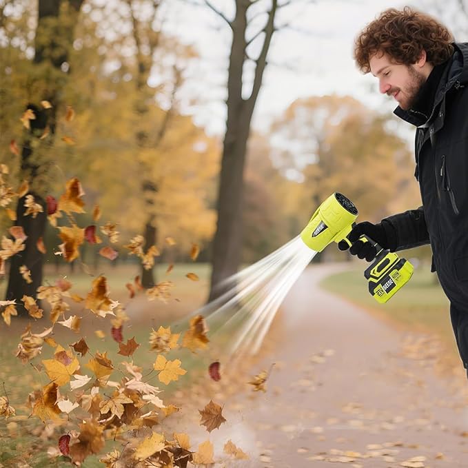 Seese Cordless Leaf Blower, Handheld Blower