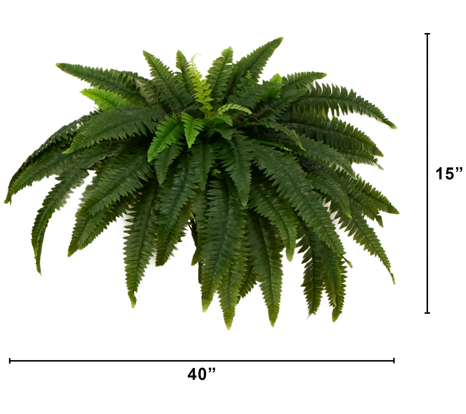 Nearly Natural Set of (2() 40" UV Resistant Boston Fern