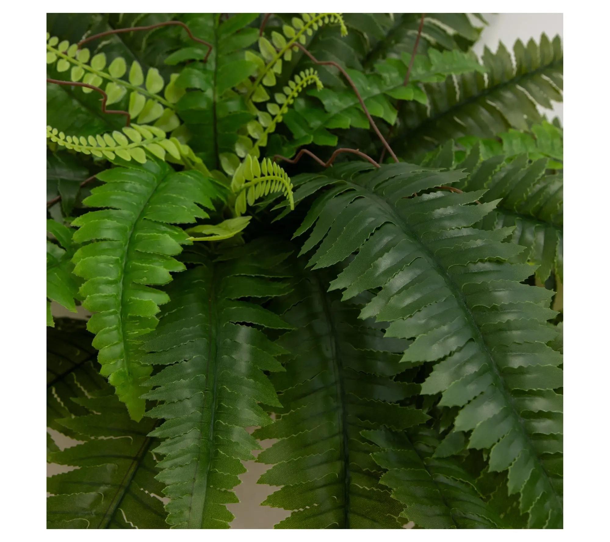 Nearly Natural Set of (2() 40" UV Resistant Boston Fern