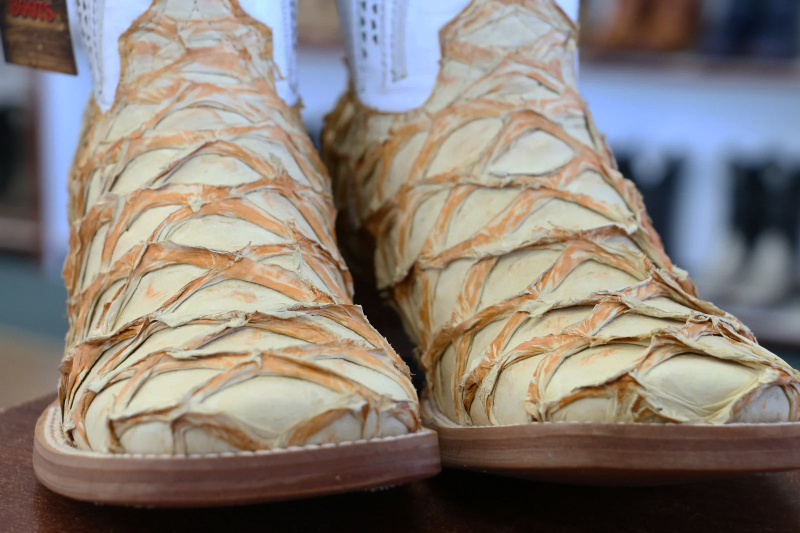 Premium Exotic Pirarucu White Castor