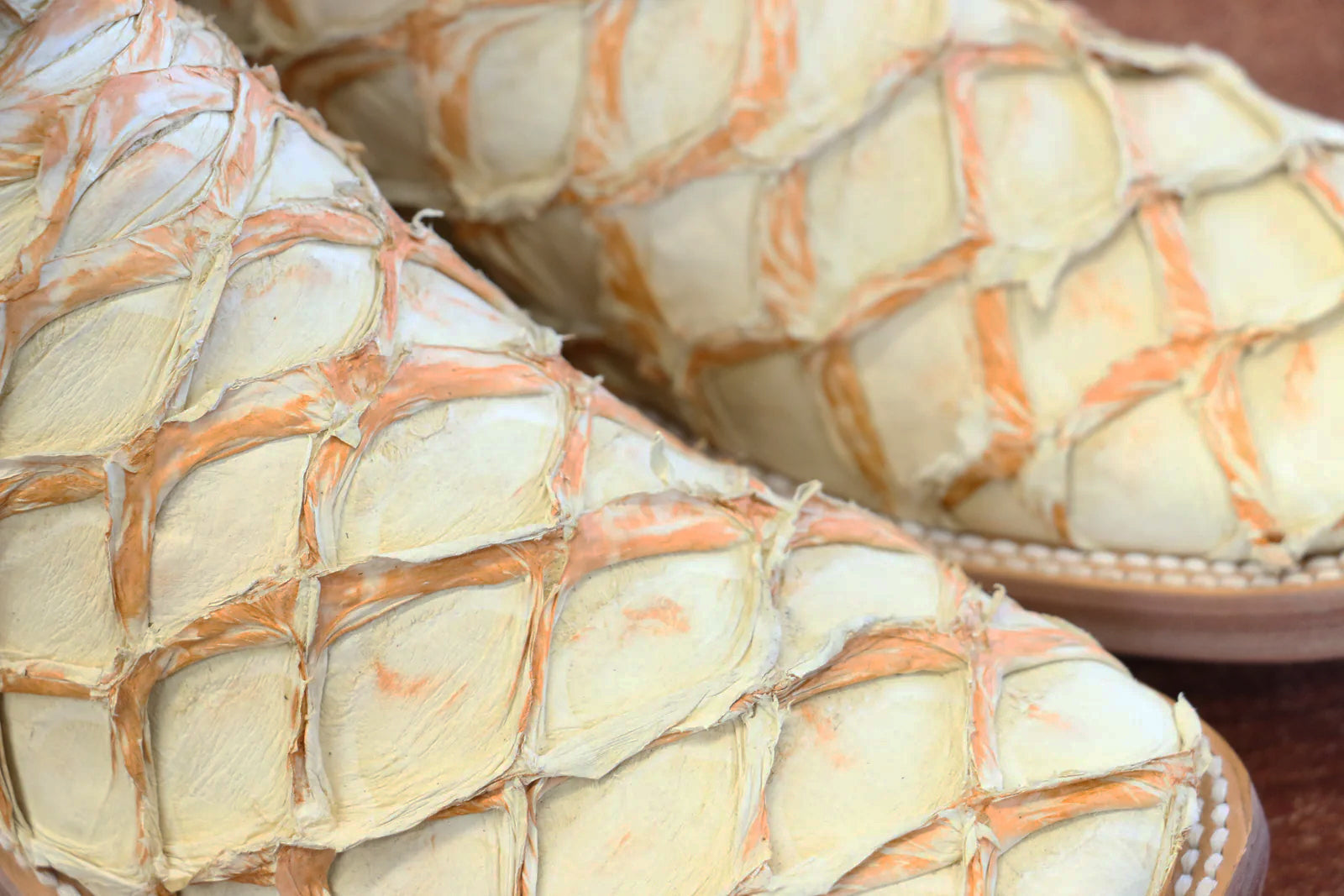 Premium Exotic Pirarucu White Castor