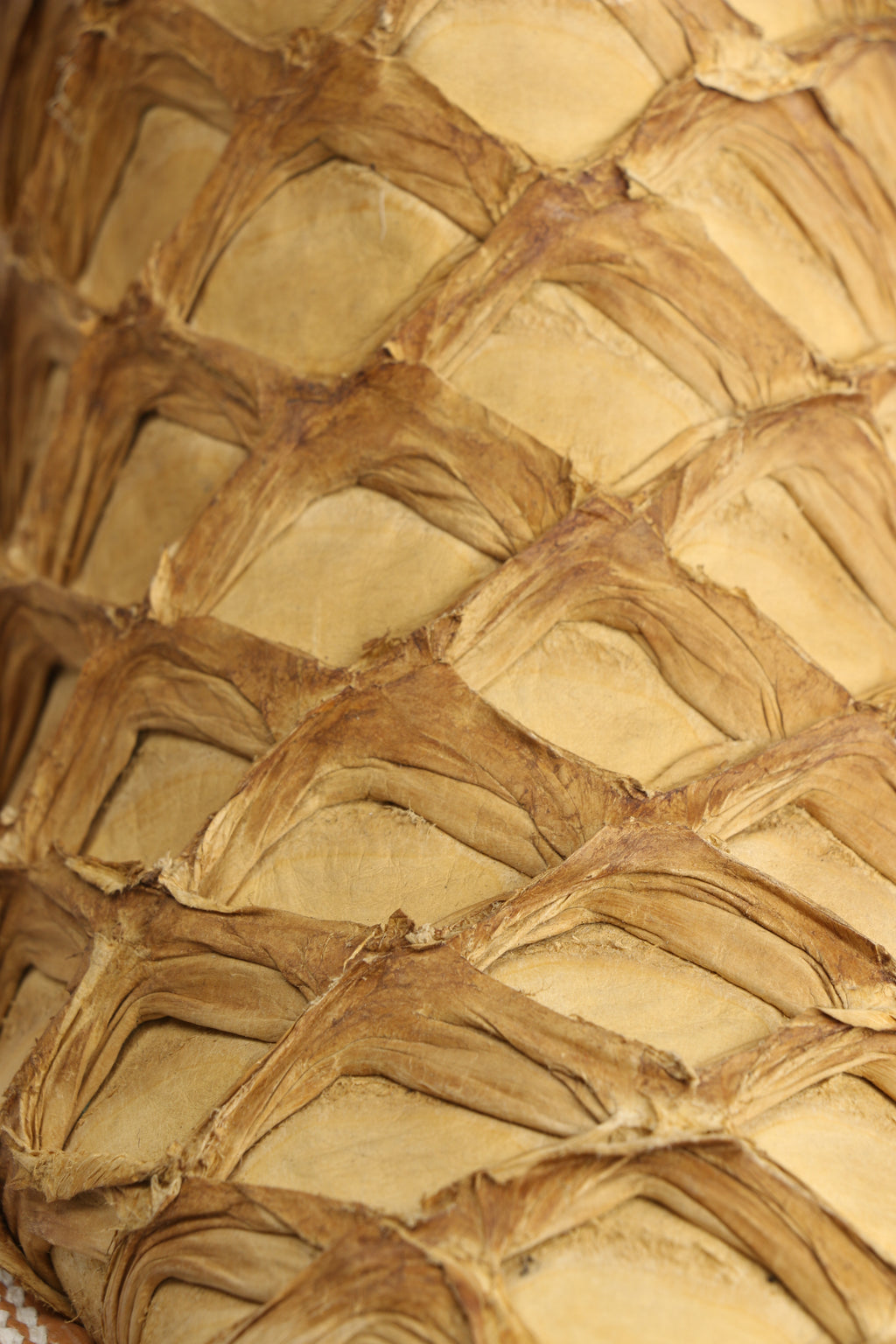 Premium Exotic Pirarucu Cowboy Boots