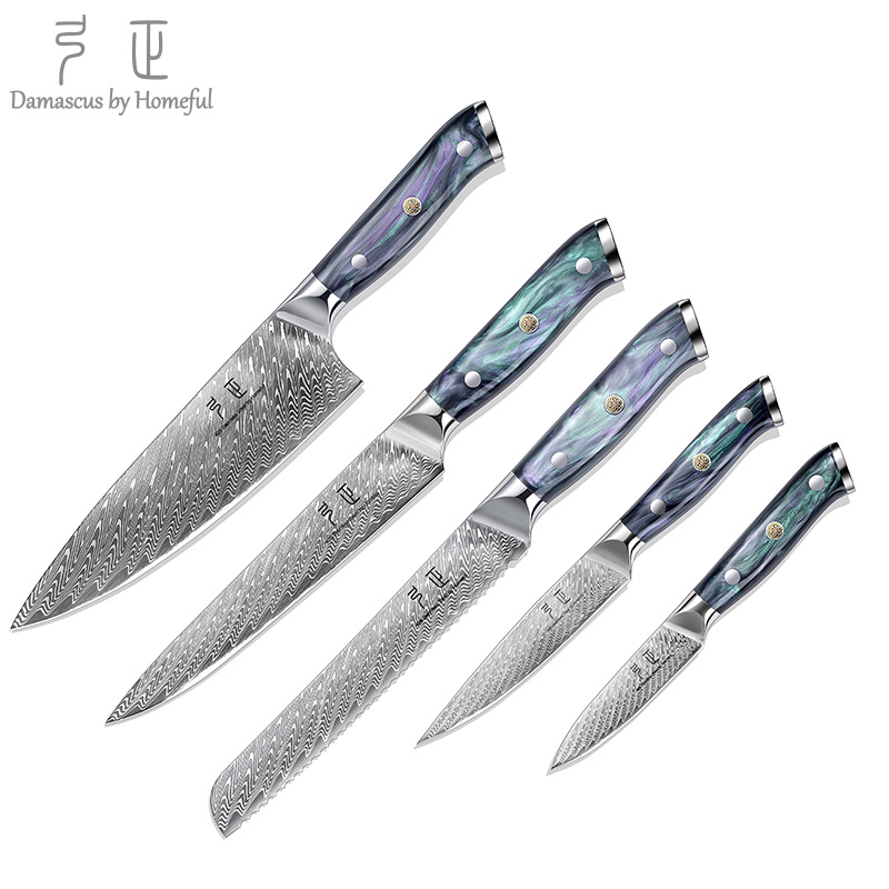  Luxury Colorful Acrylic Handle Damascus Steel Knife Set
