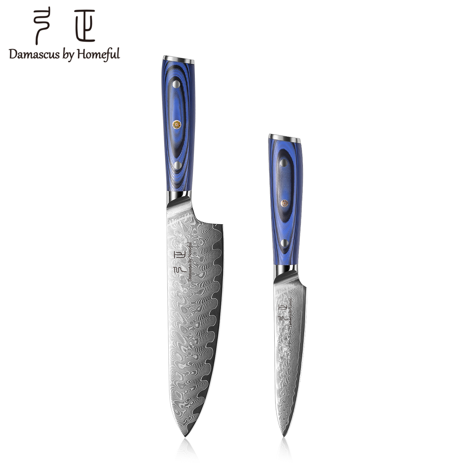 Homeful Damascus VG10 Steel Professional Kitchen Knife
