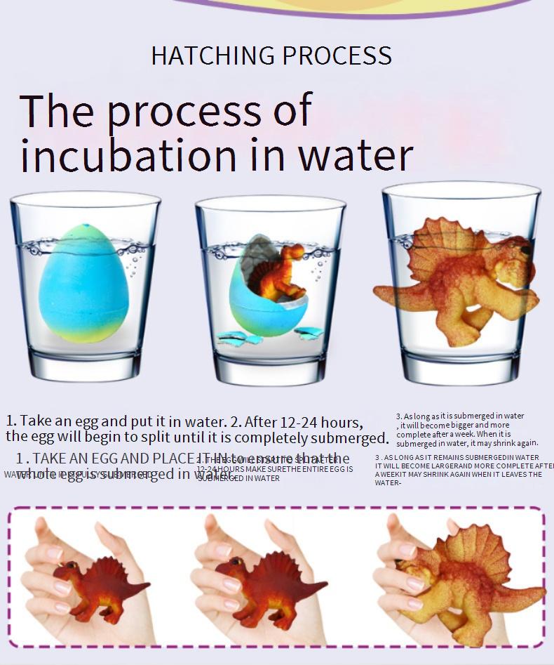 Educational Children's Water-Activated Dinosaur Hatching Eggs