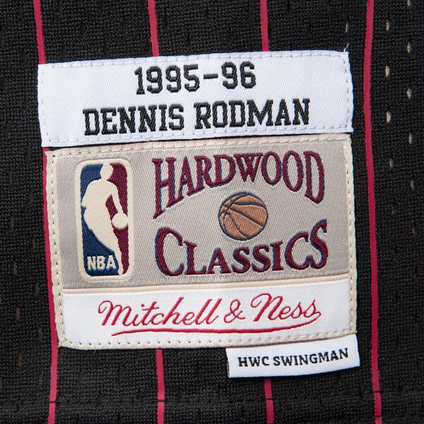 Dennis Rodman Chicago Bulls 1995-96 Black Swingman Player Jersey