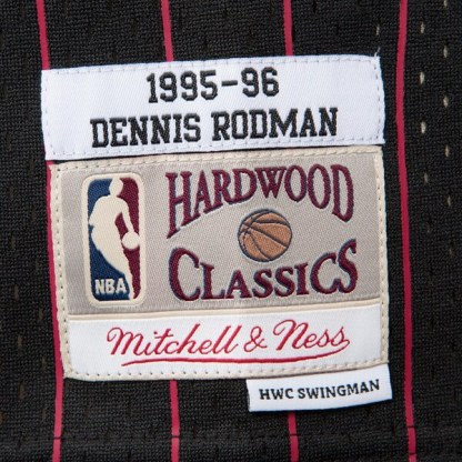 Dennis Rodman Chicago Bulls 1995-96 Black Swingman Player Jersey