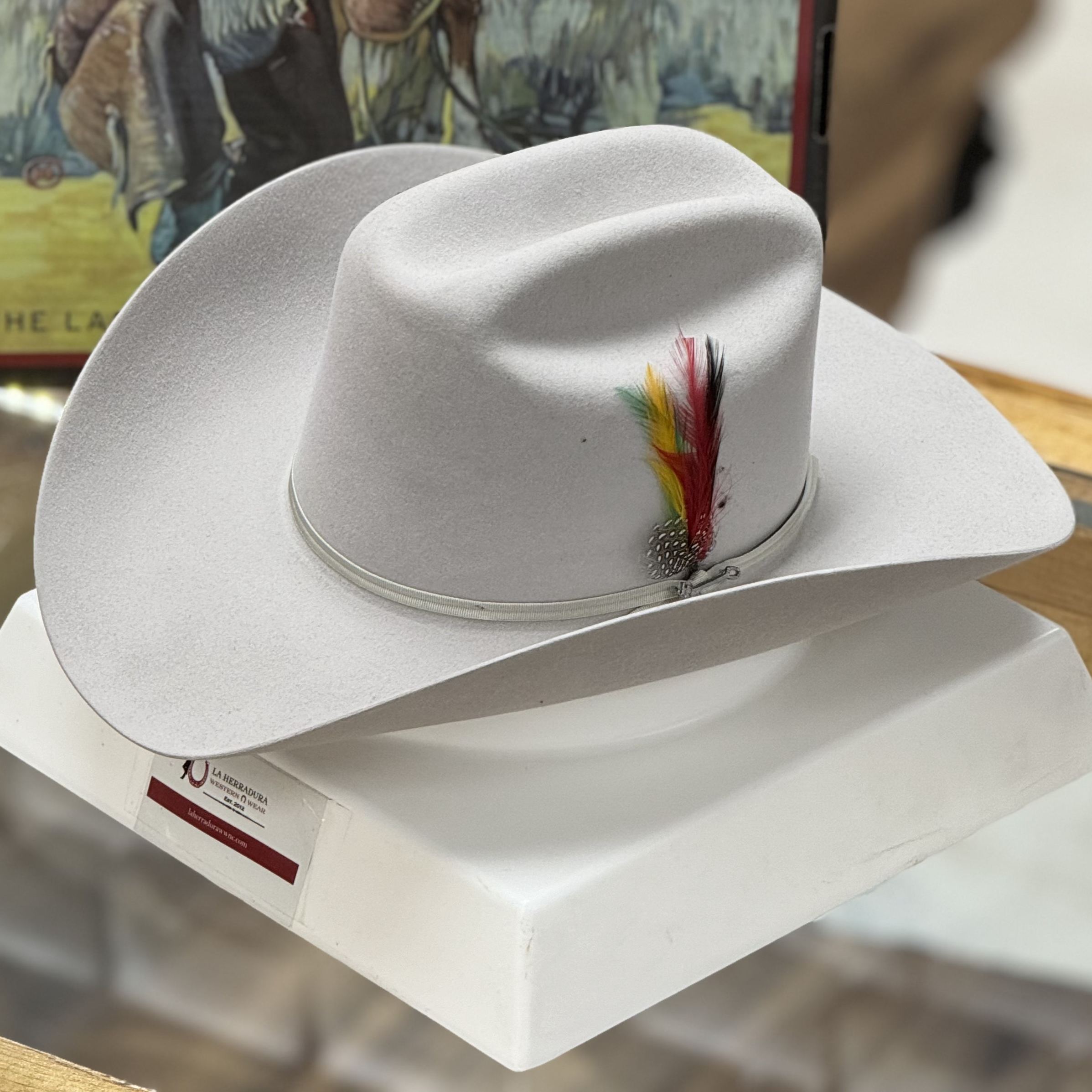 10x Rancher Copa Alta Silver Grey