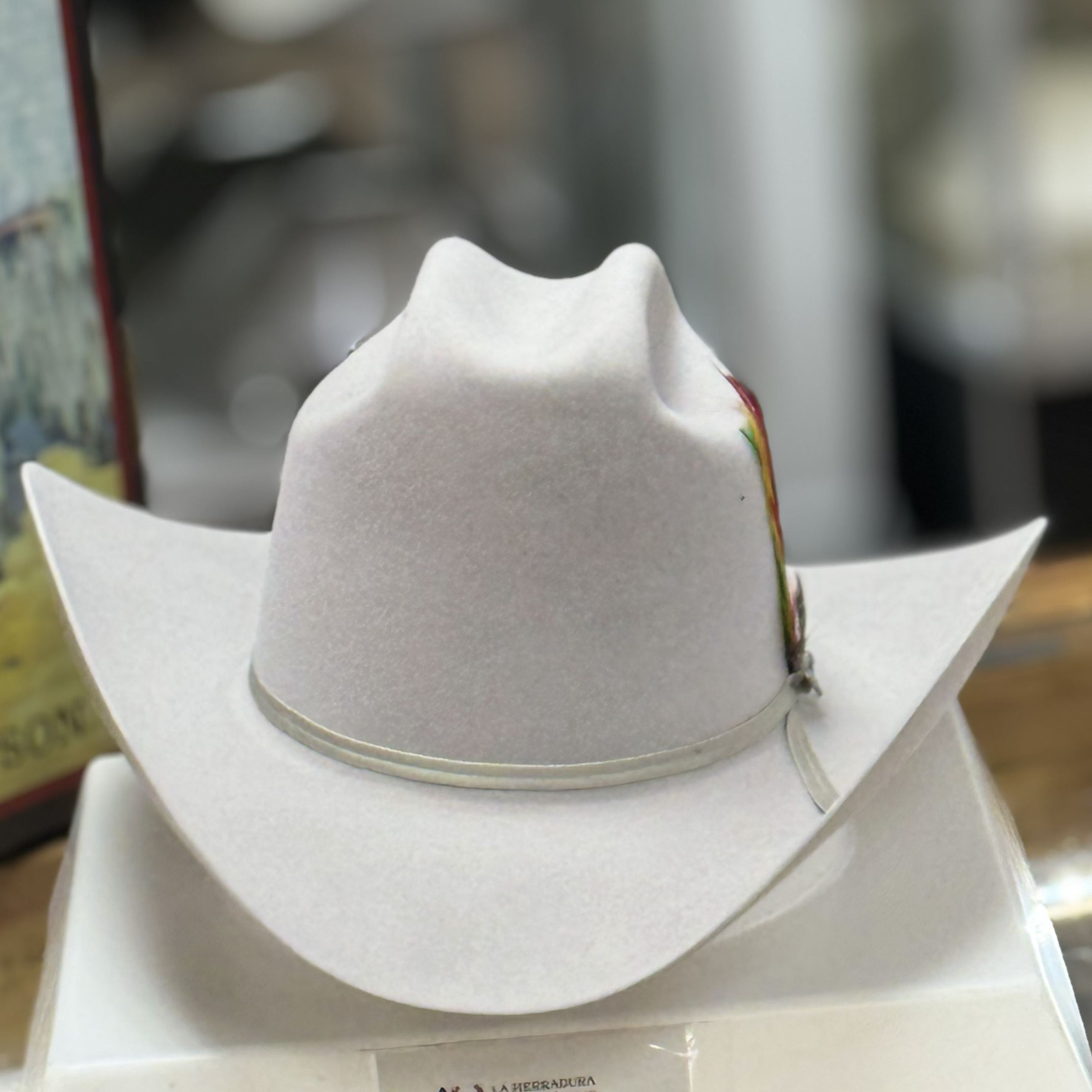 10x Rancher Copa Alta Silver Grey