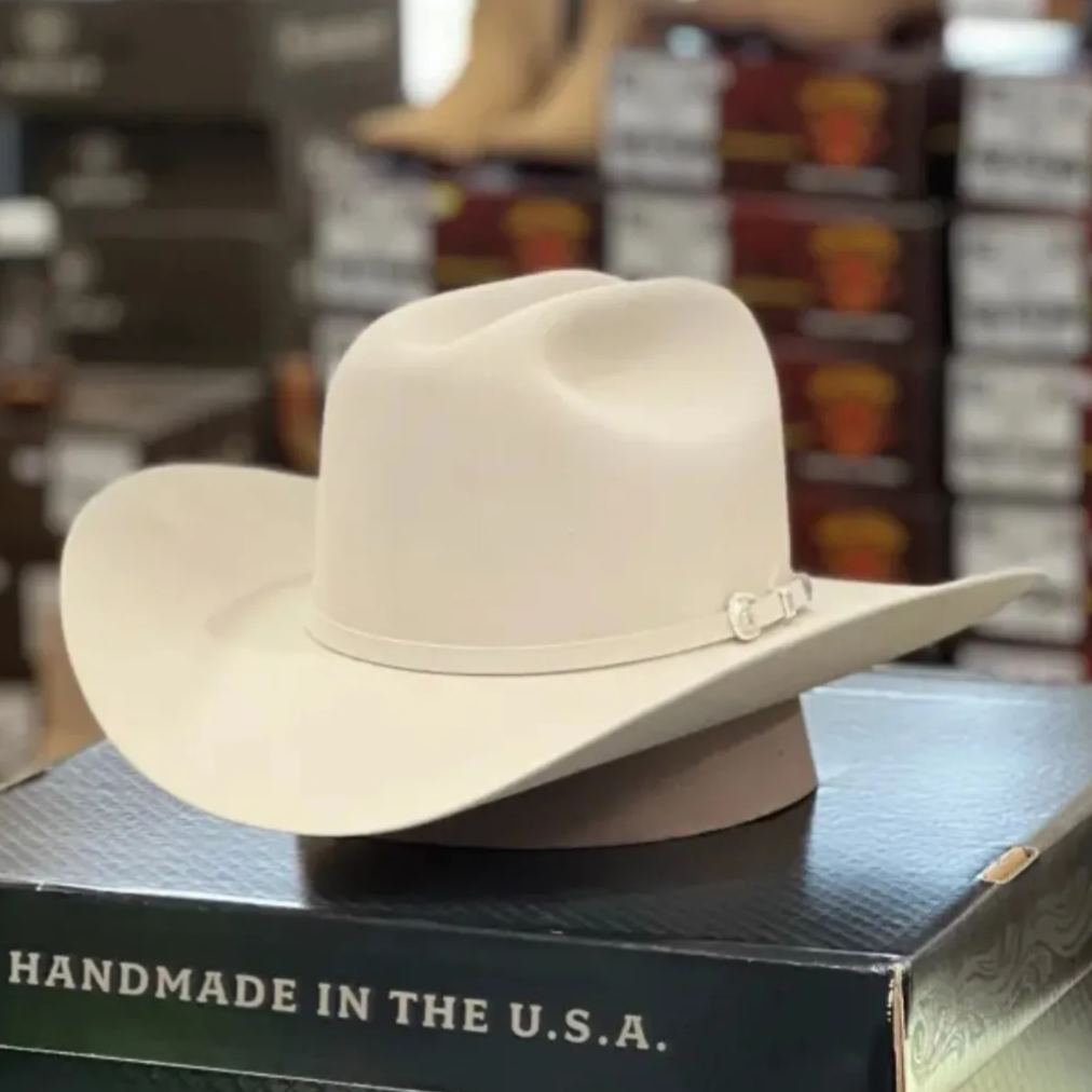 10x Shasta Silver Belly