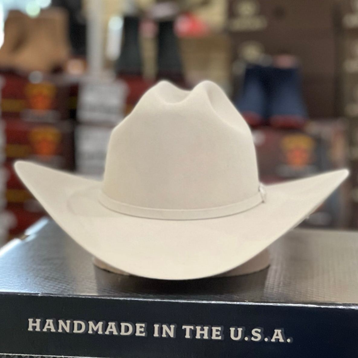 10x Shasta Silver Belly