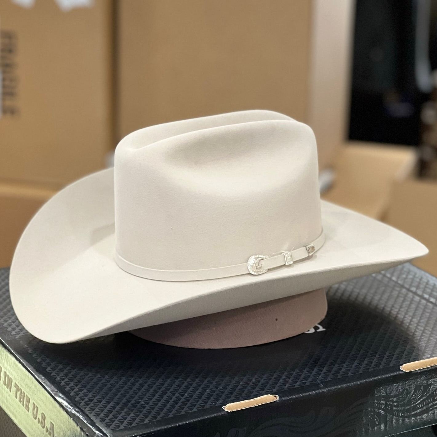 10x Shasta Silver Belly