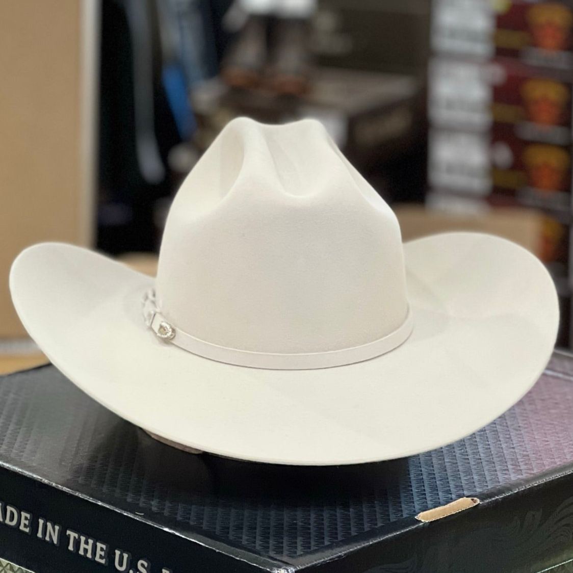 10x Shasta Silver Belly