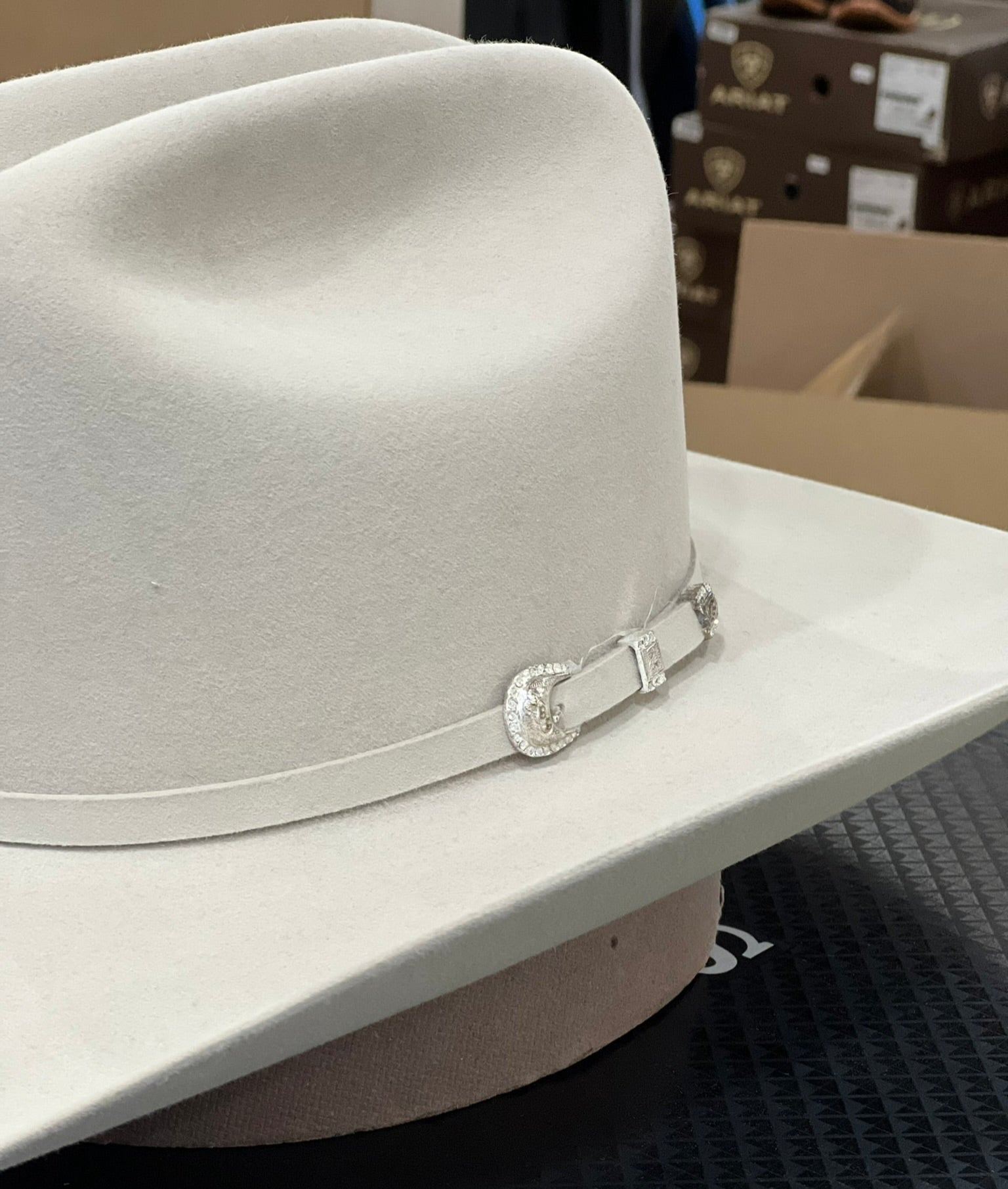 10x Shasta Silver Belly