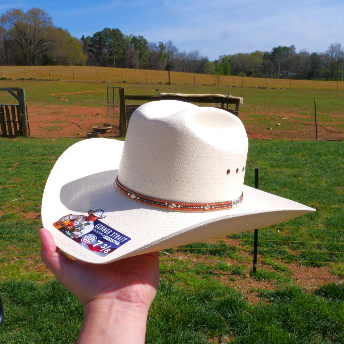 Resistol Kingman 10x Straw Cowboy Hat