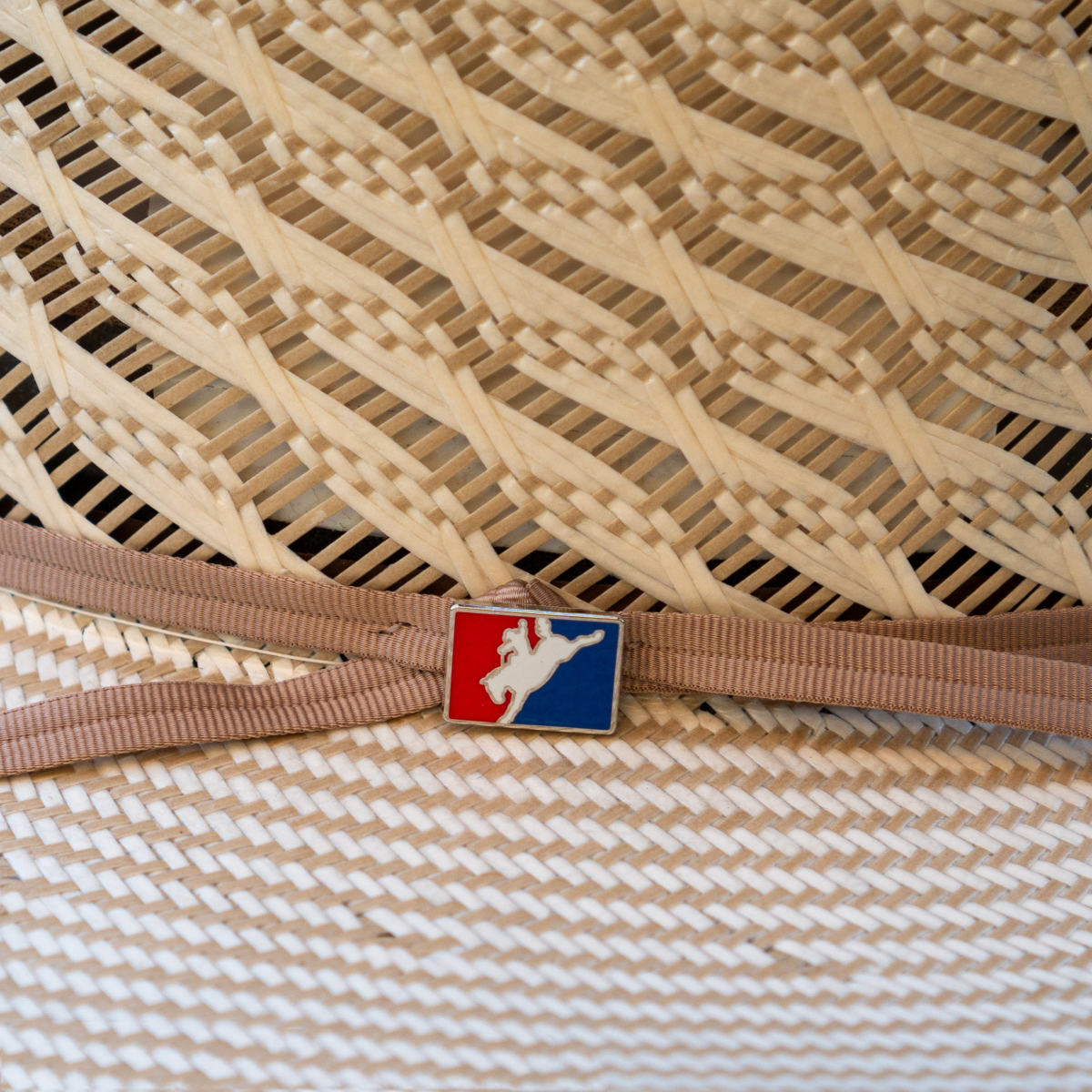 20X PBR Straw Hat