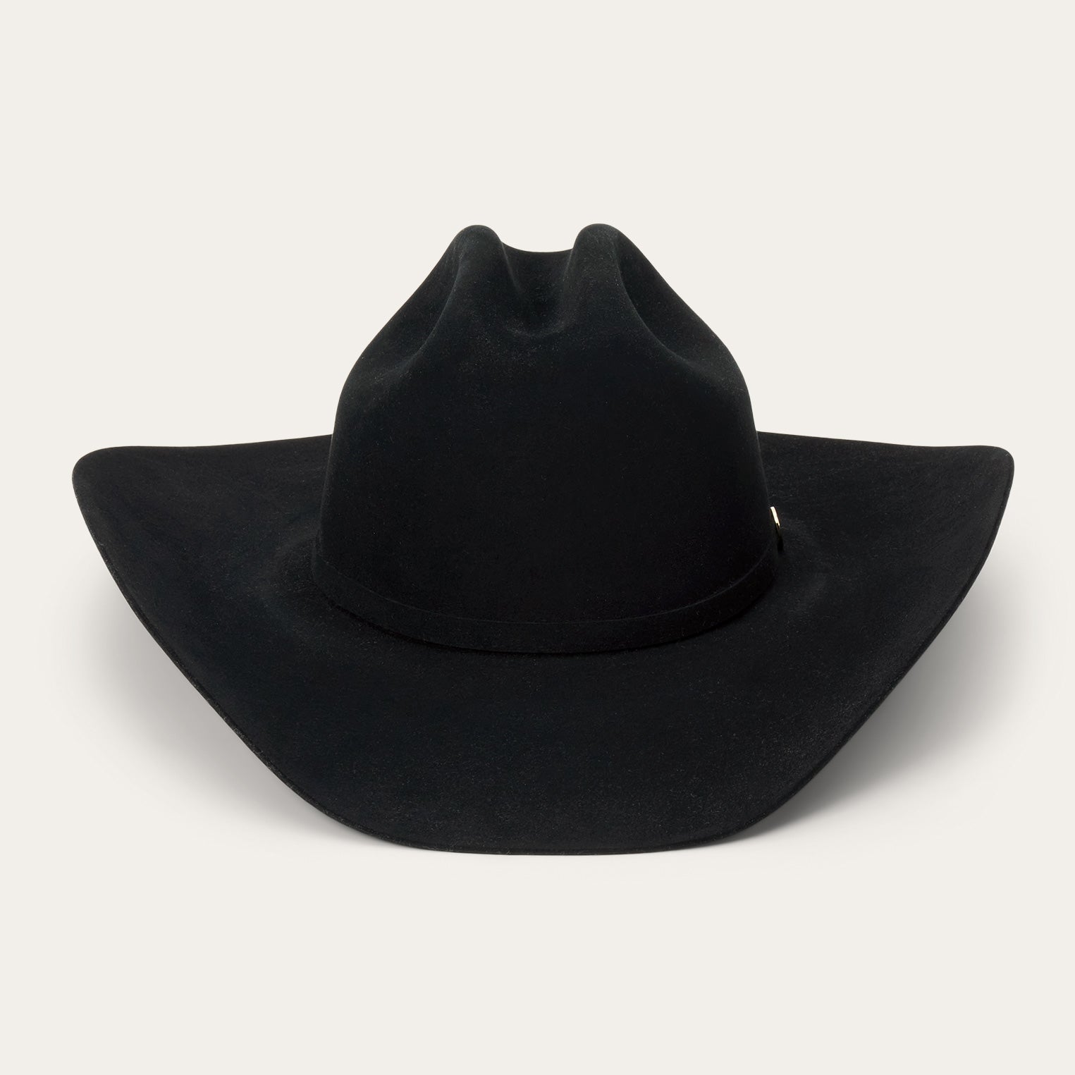 The Golden Eagle 100X