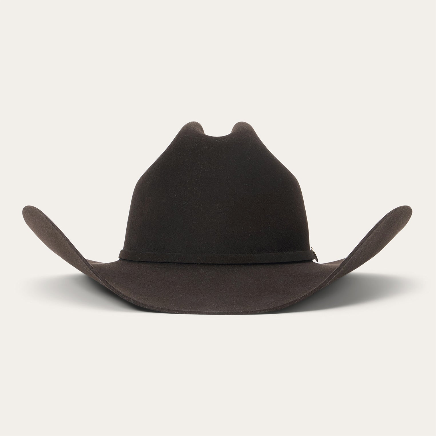 The Golden Eagle 100X