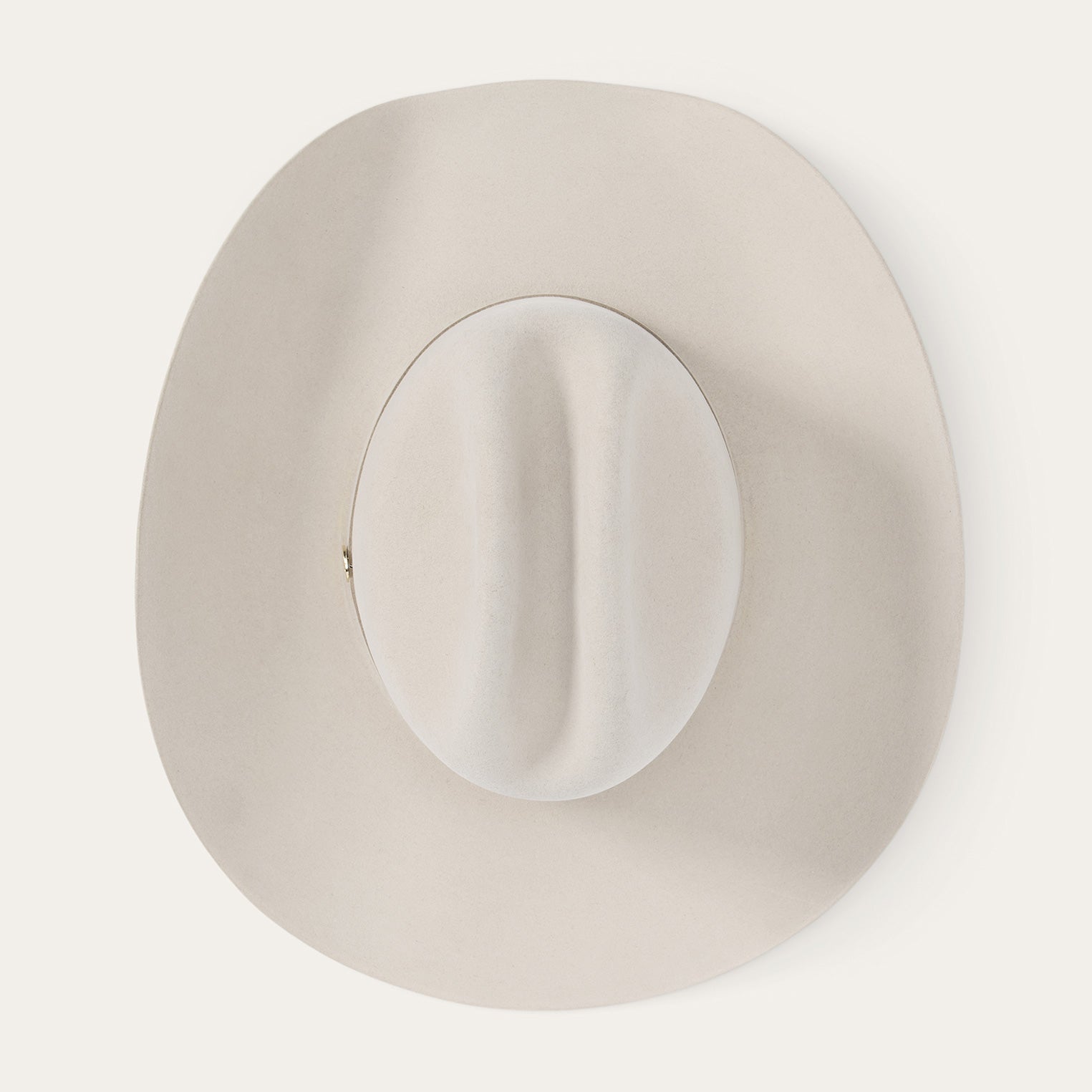 The Golden Eagle 100X