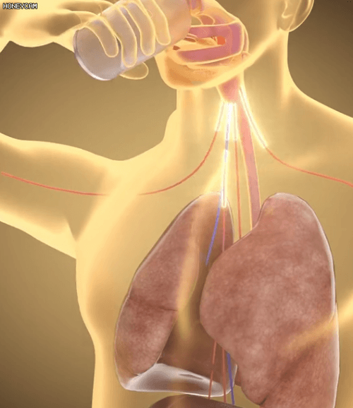 Honeycam 2026-04-03 17-20-23.gif