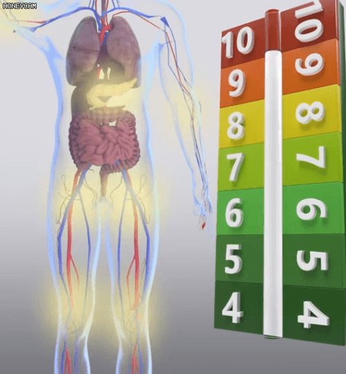 Honeycam 2026-04-03 17-13-53.gif