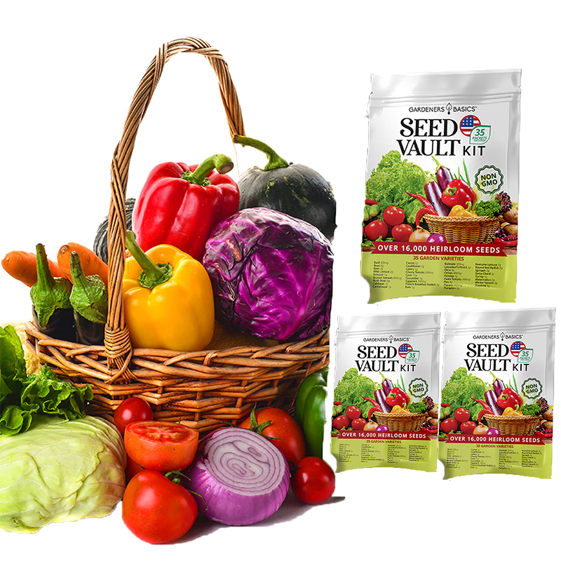 Vegetable Seed Vault Kit | 35 Variety Pack