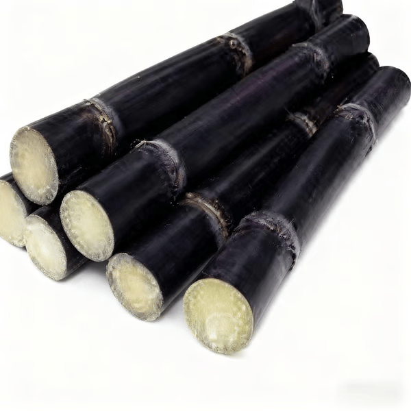 🔥Last day clearance🔥Premium Sugarcane Seeds 🍃Plant for Sweet & Bountiful Harvest