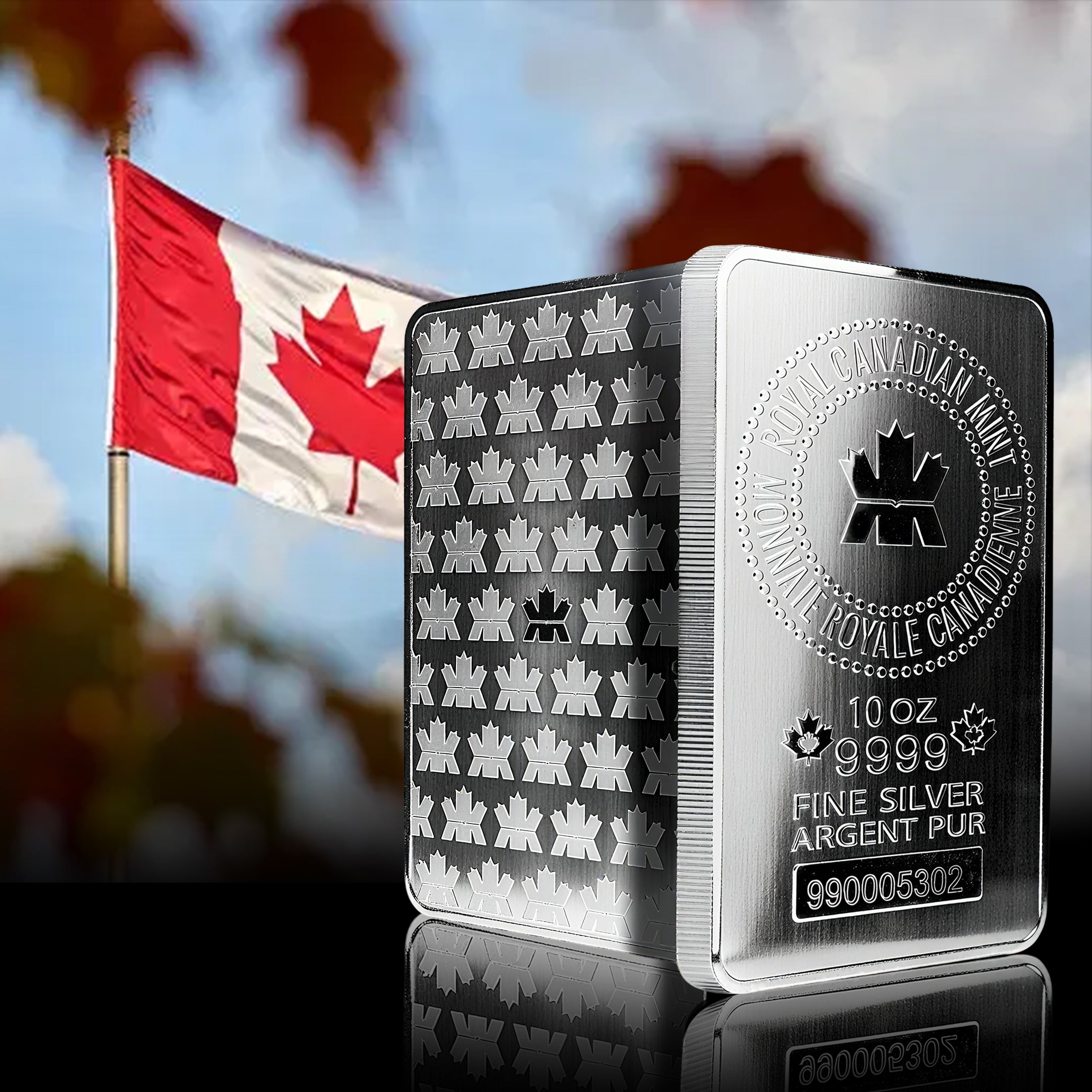 10 oz Royal Canadian Mint (RCM) .9999 Fine Silver Bar (Sealed)