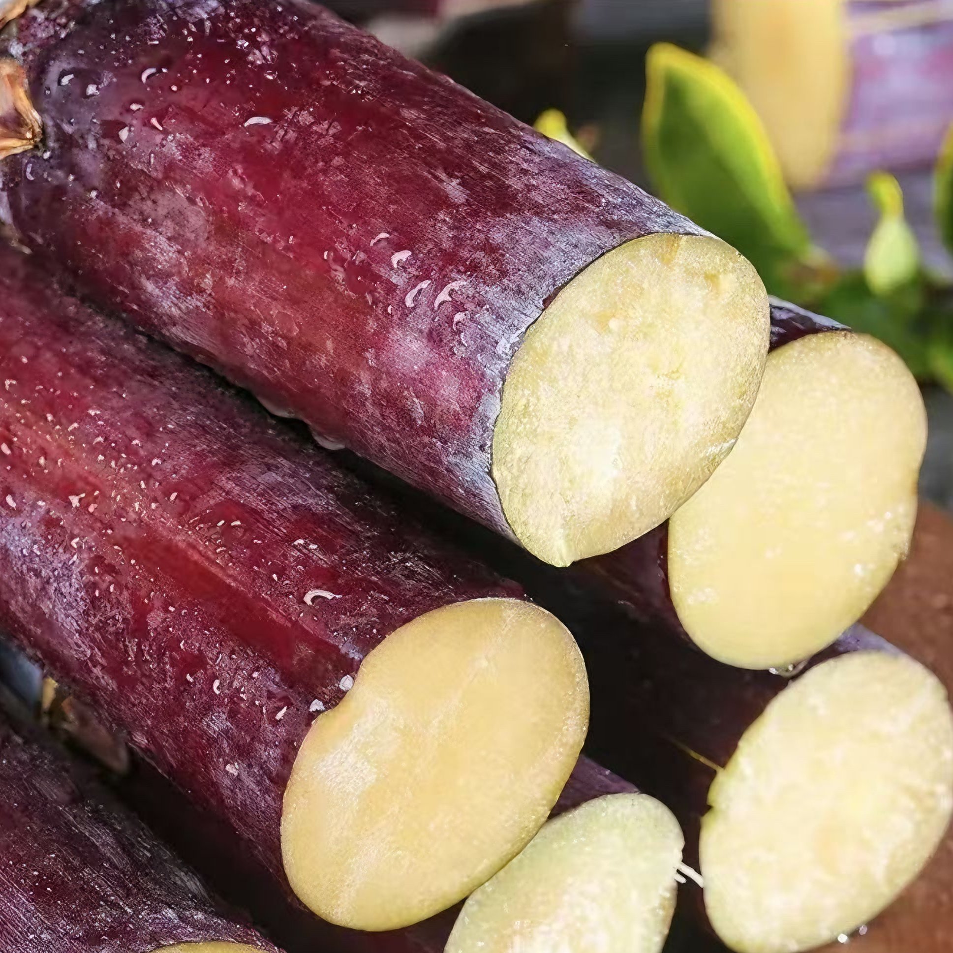 🔥Last day clearance🔥Premium Sugarcane Seeds 🍃Plant for Sweet & Bountiful Harvest