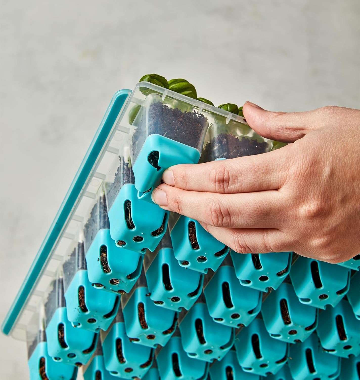 Reusable planting pots